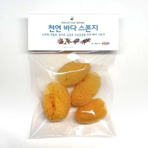 천연바다스펀지(해면)/중4개/품절
