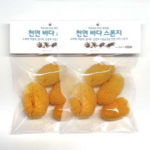 천연바다스펀지(해면)/중8개-품절